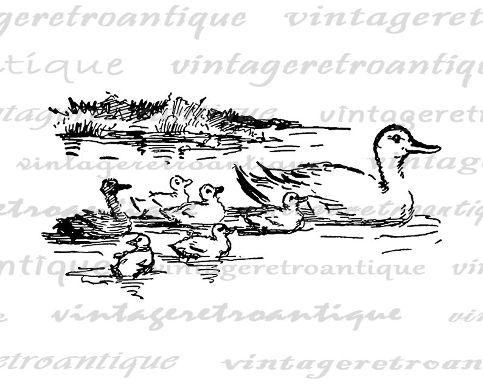 Duck With Duckings Image Printable Ducks Art Duck Graphic Birds ...