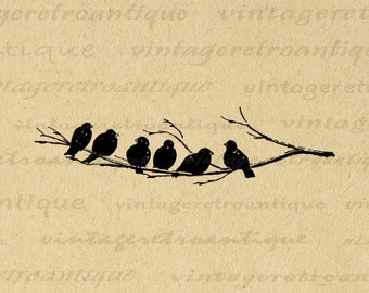 Printable Image Birds on Tree Branch Graphic Bird Artwork Digital Download Antique Clip Art for Transfers Printing etc 300dpi No.3698