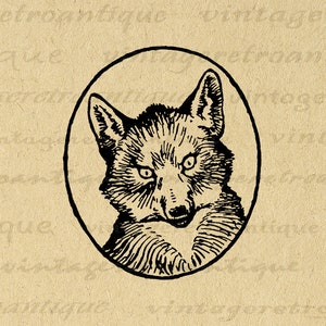 Printable Fox Portrait Graphic Digital Antique Illustration Image Animal Download Vintage Fox Clip Art for Transfers 300dpi No.862 image 1