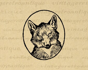 Printable Fox Portrait Graphic Digital Antique Illustration Image Animal Download Vintage Fox Clip Art for Transfers 300dpi No.862