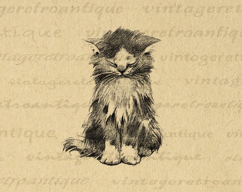 Imagen digital lindo gatito Descargar gato antiguo ilustración gráfica imprimible Vintage Clip Art para transferencias, etc. 300dpi No.1764 imagen 1