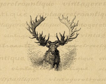 Digital Image Antique Moose Download Illustration Graphic Printable Vintage Moose Clip Art for Iron on Transfers etc 300dpi No.1674