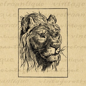 激安大特価！ Woodcut Vintage Lion Digital Download Instant Illustration 文房具・ステーショナリー