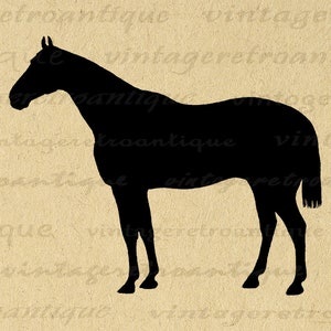 Horse Silhouette Printable Image Graphic Illustration Download Digital ...