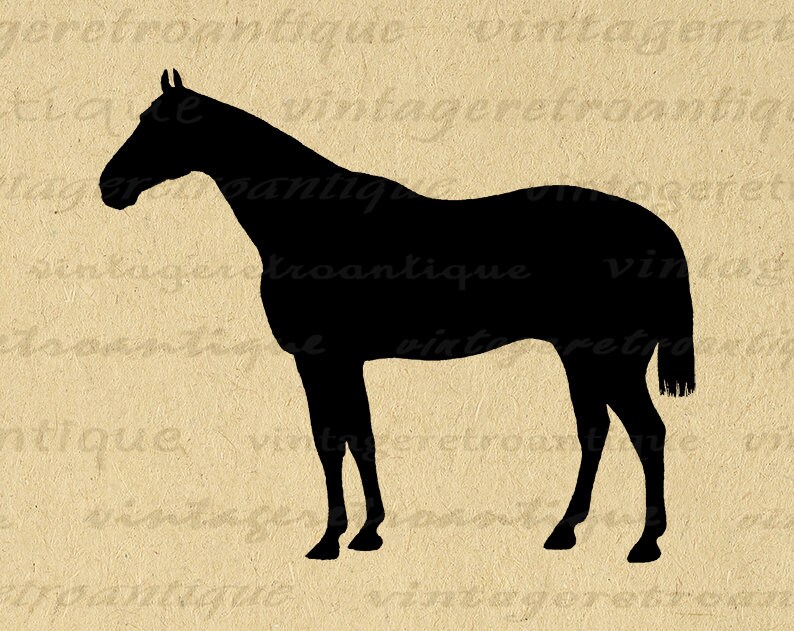 Horse Silhouette Printable Image Graphic Illustration Download Digital