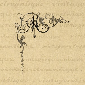 Letra M para impressão Imagem digital Elegante Banner Floral Ornamento Gráfico Ilustração Clip Art antigo para transferências de ferro etc. No.700