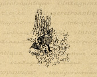 Digital Antique Fox Imagen Gráfica Descargar Fox Ilustración Imprimible Vintage Animal Clip Art para Transferencias Printis etc 300dpi No.2194