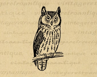 Antique Owl Image Graphic Digital Printable Bird Illustration Artwork Download Vintage Clip Art for Transfers etc 300dpi No.956