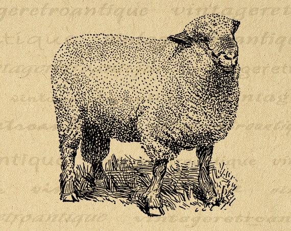 Printable Old Fashioned Sheep Digital Image Cute Animal 