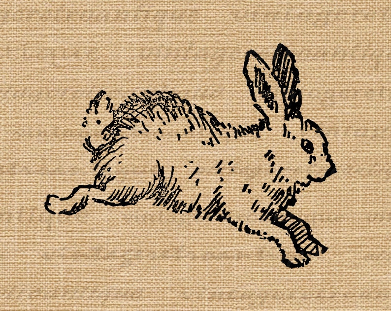 Cute Bunny Printable Image Digital Rabbit Illustration Download Graphic Vintage Clip Art for Iron on Transfers etc 300dpi No.2382 image 3