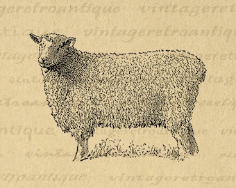 Sheep Graphic Printable Farm Animal Digital Image Download Sheep Illustration Antique Clip Art for Transfers etc 300dpi No.3560
