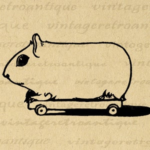 Cute Guinea Pig Printable Image Animal Digital Download Graphic Artwork Antique Clip Art for Transfers Prints etc 300dpi No.3609