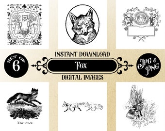 Instant Download Digital Fox Art - Set of 6 Cute Fox Images - 12x12 JPG & Transparent PNG - Foxes for Wall Decor, Scrapbooking, DIY Crafts