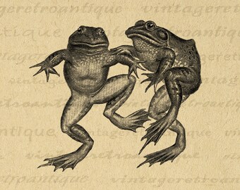 Frogs Digital Image Graphic Printable Frog Artwork Antique Illustration Download for Transfers Tote Bags Tea Towels etc 300dpi No.4143