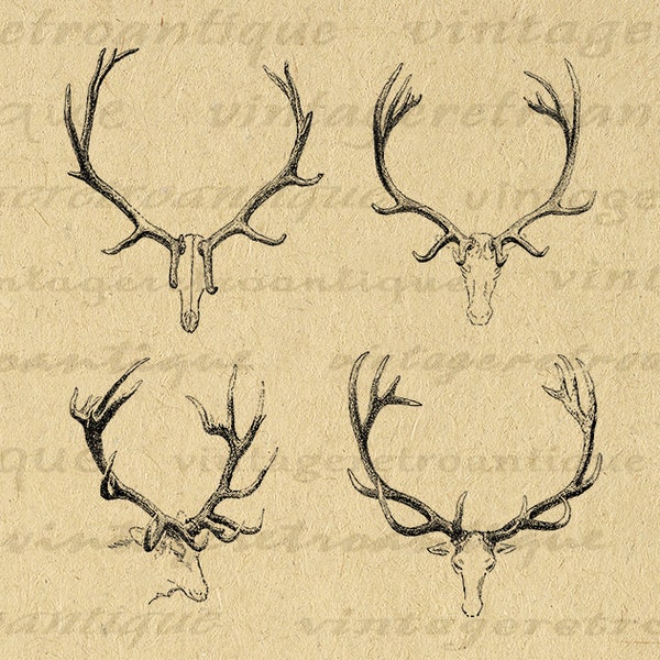 Deer Clip Art, Deer Antlers Clipart, Deer Antler Print, Digital Image Instant Download No. 1099