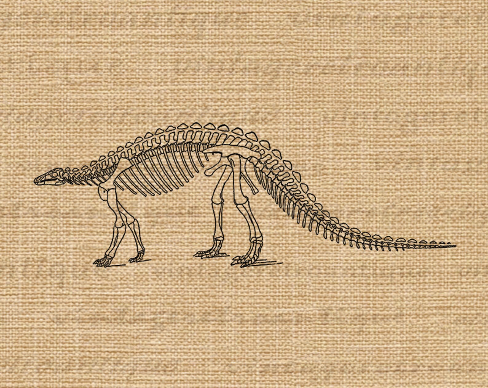 Digital Image Dinosaur Printable Dinosaur Skeleton Download Graphic ...