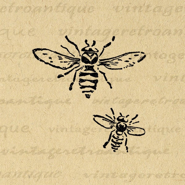 Bee Clip Art - Etsy