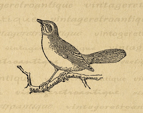 Public Domain Clip Art Image, Sketchpad, with drawing of a bird, ID:  13550826612701