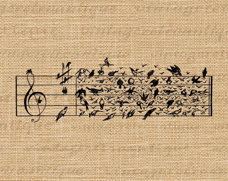 Birds Music Notes Printable Image Graphic Musical Notation Etsy
