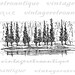 Printable Digital Pine Trees Download Antique Image Graphic Vintage ...
