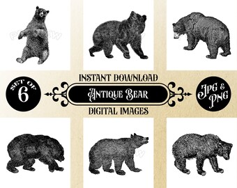 Antique Bear Printables - Set of 6 High-Quality Digital Images, 12x12 JPG and PNG Instant Download, Vintage Wall Decor Printable Nursery Art