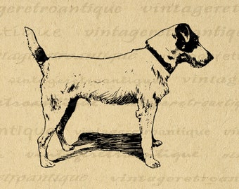 Printable Fox Terrier Digital Image Antique Dog Graphic Animal Pet Artwork Clipart Antique Dog Clip Art for Transfers etc No.3735