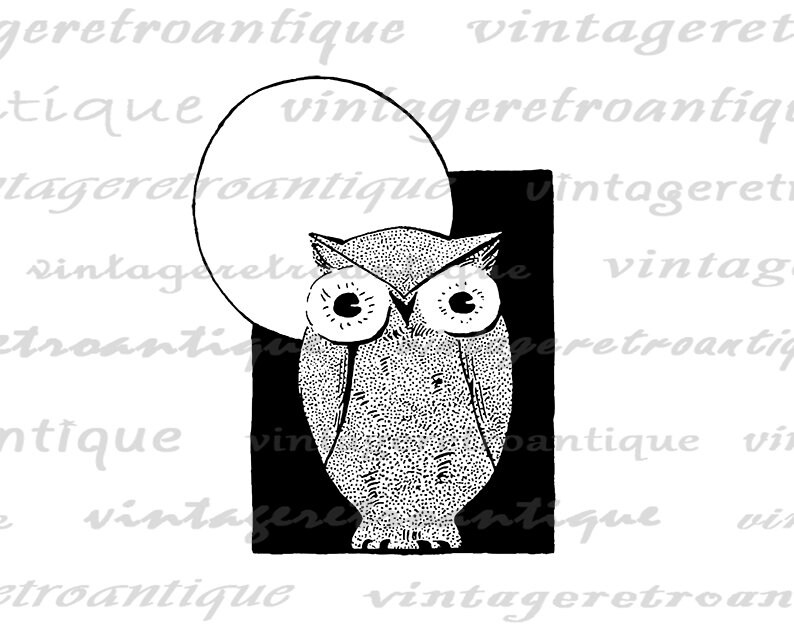 Vintage Owl Graphic Printable Image Owl Artwork Digital Bird Artwork ...