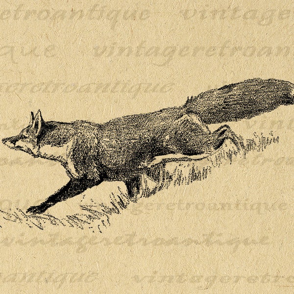 Fox Graphic Printable Animal Digital Image Download Illustration Vintage Antique Fox Clip Art for Iron On Transfers etc 300dpi No.4122