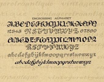 洋書【FRISES & ALPHABETS ANCIENS BICOLORES】フランス 人気の