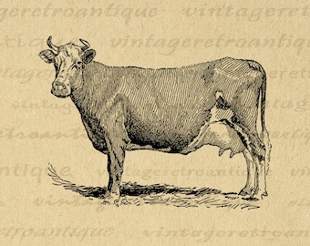 Imagen gráfica digital de vaca antigua imprimible granja animal vaca ilustración ilustrado vintage clip art para transferencias, etc. 300dpi No.3164