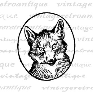 Printable Fox Portrait Graphic Digital Antique Illustration Image Animal Download Vintage Fox Clip Art for Transfers 300dpi No.862 image 2