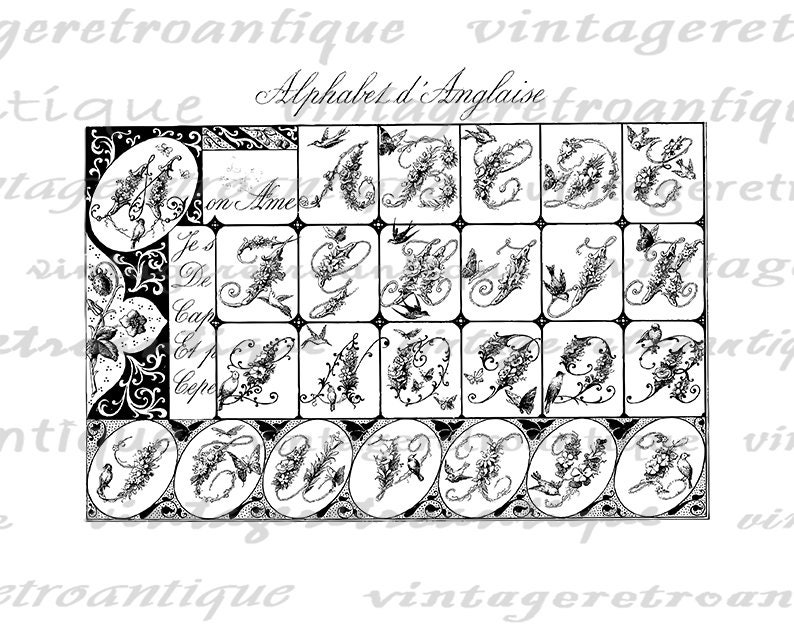 Digital Alphabet Floral Fancy Letters with Birds Graphic Image Alphabet Collage Sheet Printable Antique Clip Art 300dpi No.197 image 2