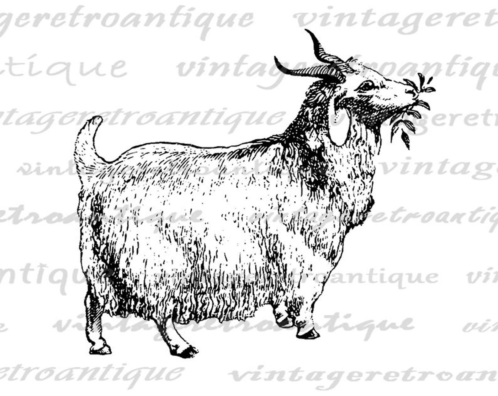 Printable Goat Digital Image Graphic Download Antique Farm Etsy