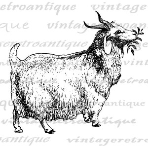 Printable Goat Digital Image Graphic Download Antique Farm Animal Goat ...
