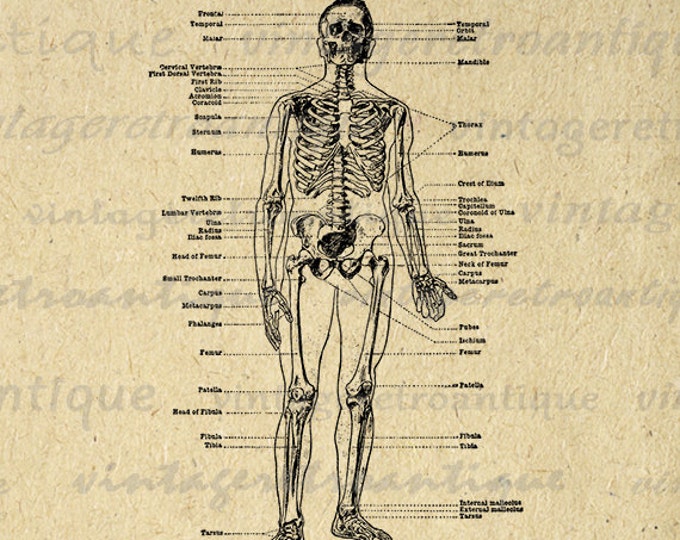 This item is unavailable Biology Diagrams