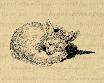 Sleeping Fox Print, Fox Wall Art, Printable Fox Artwork, Fox Illustration Digital Image Instant Download No. 1089