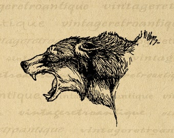 Digital Printable Fierce Wolf Graphic Wolves Image Animal Download Vintage Wolf Illustration Clip Art for Transfers etc 300dpi No.172