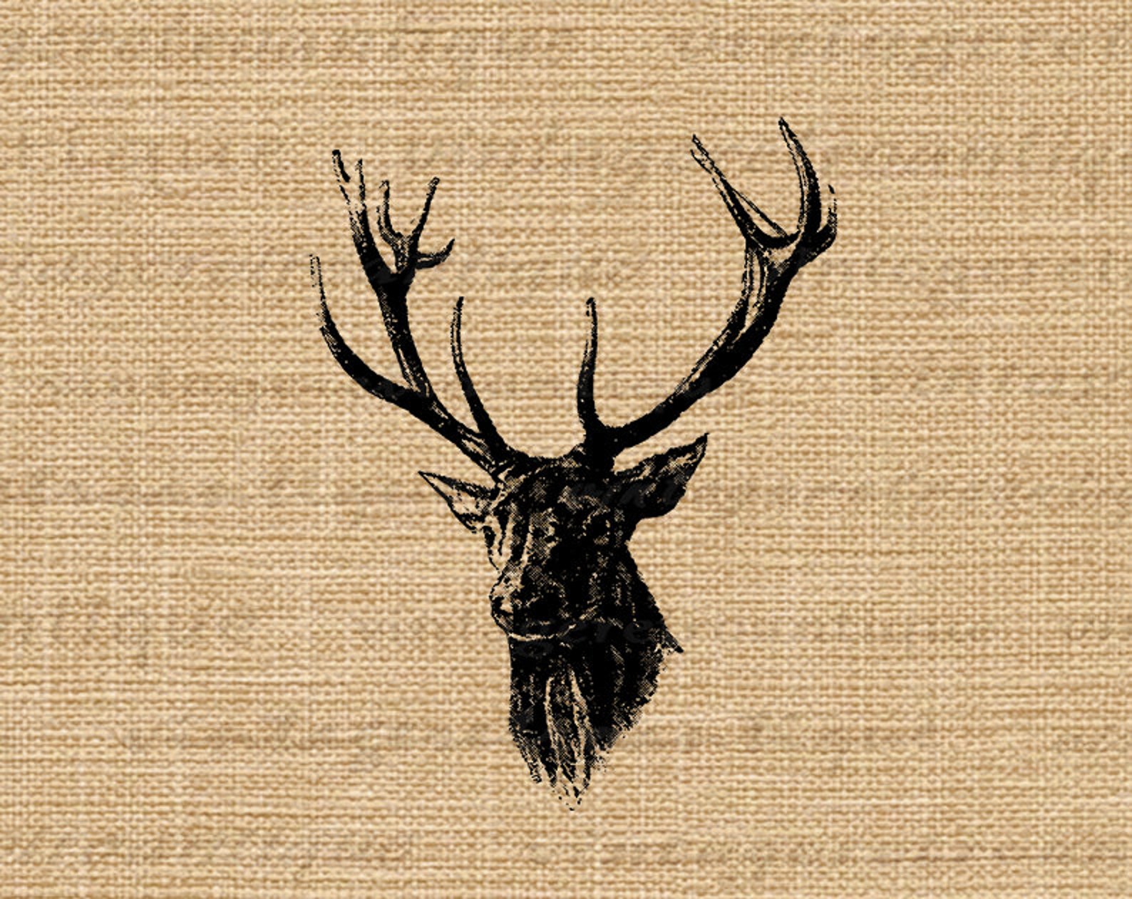 Printable Image Antique Deer Digital Download Deer With Antlers ...