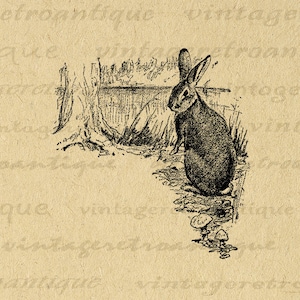 Rabbit Digital Printable Graphic Bunny Easter Image Spring Old ...