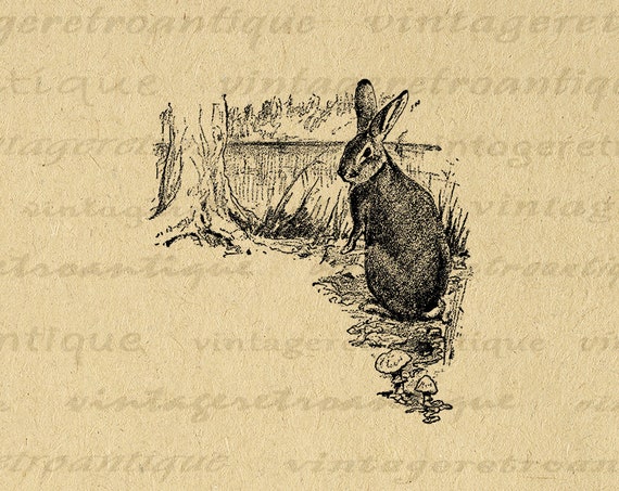 11x14 Rabbit Silhouette Digital Printable Graphic Bunny Illustration Image Download Antique Clip Art for Transfers etc 300dpi No.3381