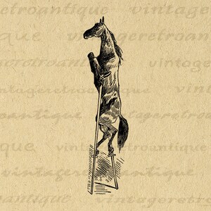 Horse on Stilts Digital Image Download Illustrated Horse Graphic Printable Antique Clip Art for Transfers Printing etc 300dpi No.3357