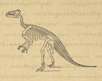 Esqueleto de dinosaurio gráfico imprimible Descargar imagen Ilustración digital Vintage Clip Art para transferencias Impresiones, etc. 300dpi No.2734