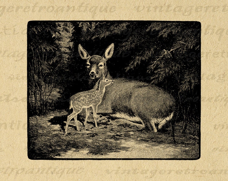 Printable Graphic Deer With Fawn Digital Antique Deer Illustration Art ...