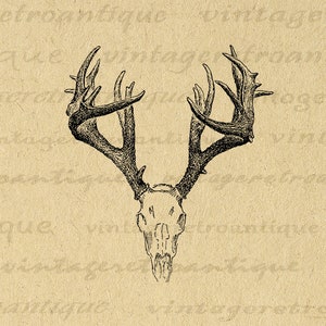 Printable Digital Deer Skull Graphic Antlers Illustration Download Image Vintage Antlers Clip Art for Transfers etc 300dpi No.1248 image 1