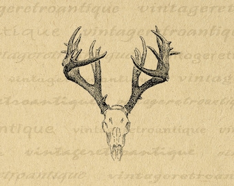 Printable Digital Deer Skull Graphic Antlers Illustration Download Image Vintage Antlers Clip Art for Transfers etc 300dpi No.1248