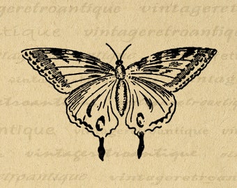 Printable Butterfly Digital Image Download Graphic Antique Butterfly Illustration Clip Art for Transfers Printing etc 300dpi No.2483