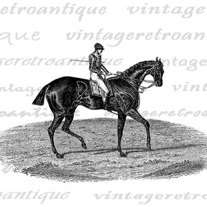 Horse and Jockey Digital Graphic Printable Horse Riding Image ...
