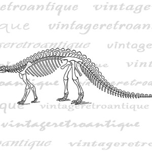 Digital Image Dinosaur Printable Dinosaur Skeleton Download Graphic ...