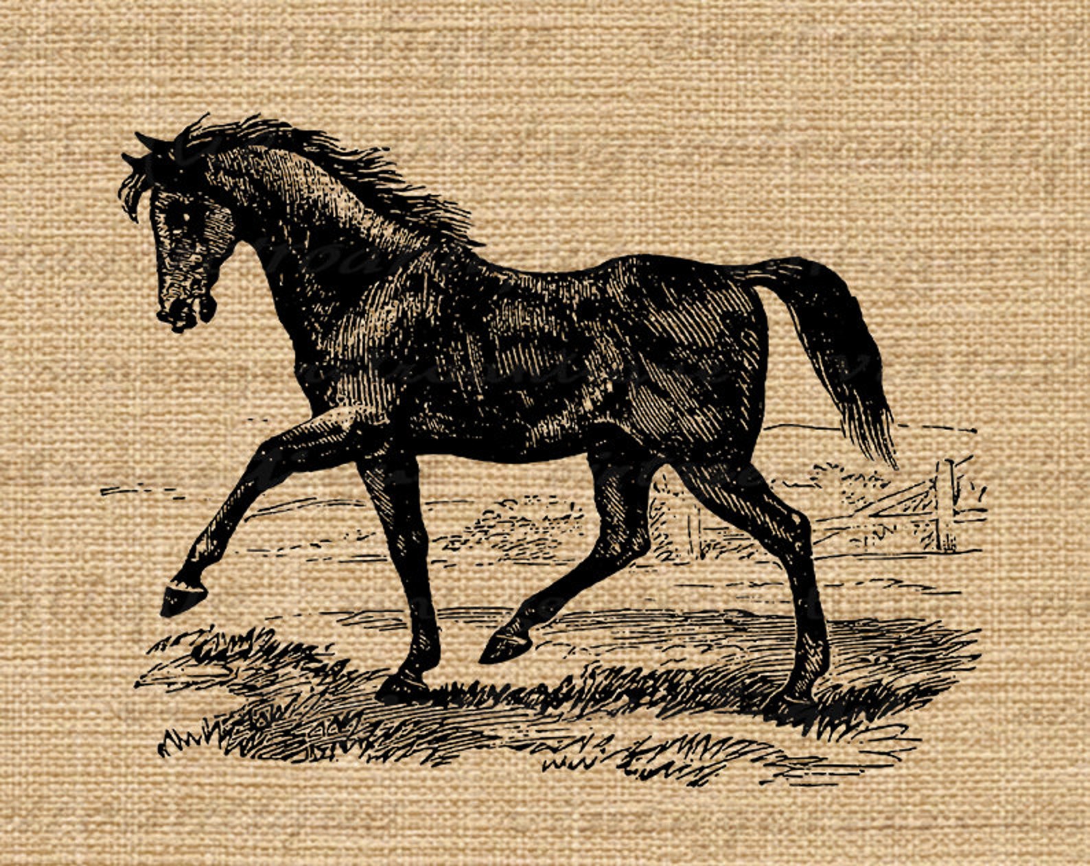 Antique Horse Image Printable Download Digital Graphic - Etsy