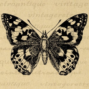 Painted-Lady Butterfly Graphic Digital Download Illustration Image Printable Vintage Clip Art for Iron on Transfers etc 300dpi No.3193